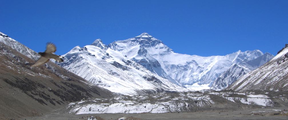 Everest Advance Base Camp